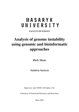 Analysis of Genome Instability Using Genomic and Bioinformatic Approaches