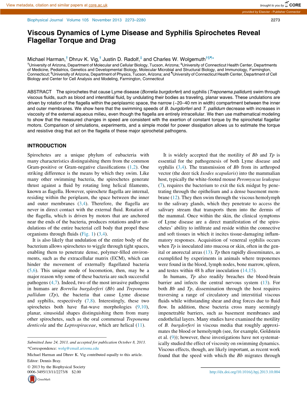 Viscous Dynamics of Lyme Disease and Syphilis Spirochetes Reveal Flagellar Torque and Drag