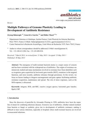 Multiple Pathways of Genome Plasticity Leading to Development of Antibiotic Resistance