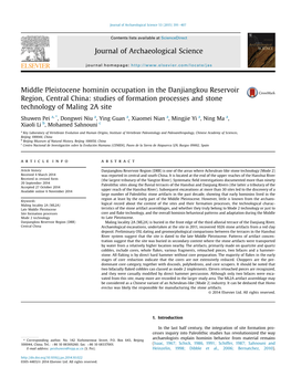 Middle Pleistocene Hominin Occupation in the Danjiangkou Reservoir Region, Central China: Studies of Formation Processes and Stone Technology of Maling 2A Site