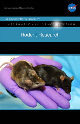 Rodent Research