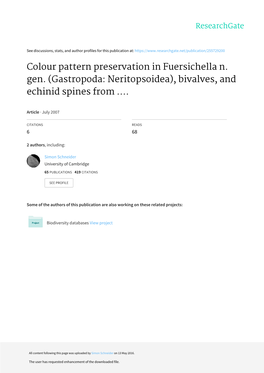 Colour Pattern Preservation in Fuersichella N