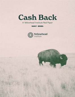 Cash Back a Yellowhead Institute Red Paper MAY 2021