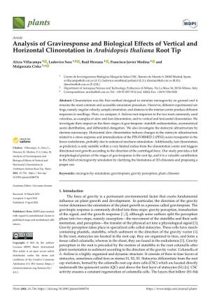 Analysis of Graviresponse and Biological Effects of Vertical and Horizontal Clinorotation in Arabidopsis Thaliana Root Tip