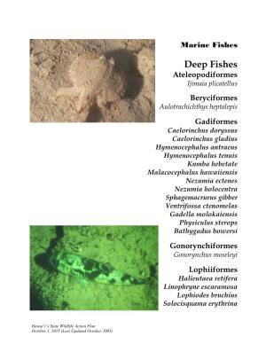 Deep Fishes Ateleopodiformes Ijimaia Plicatellus