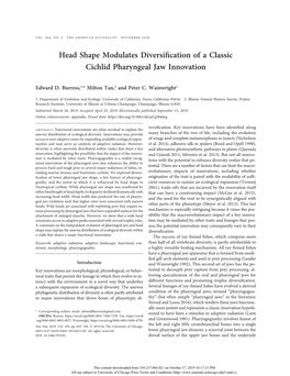 Head Shape Modulates Diversification of a Classic Cichlid Pharyngeal