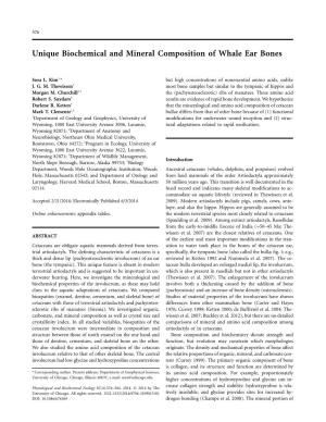 Unique Biochemical and Mineral Composition of Whale Ear Bones