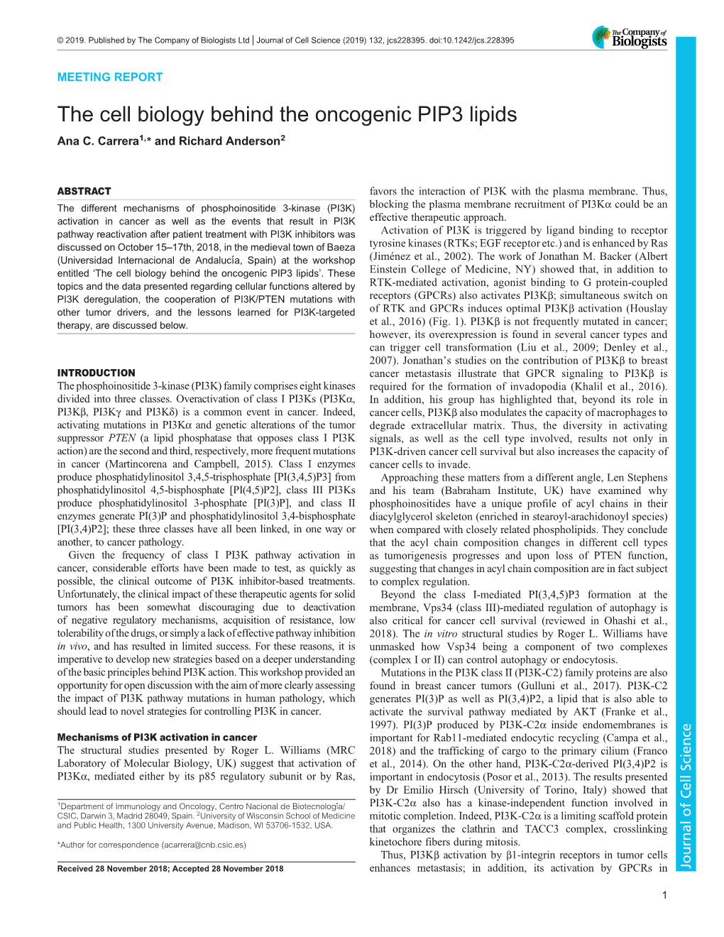 The Cell Biology Behind the Oncogenic PIP3 Lipids Ana C