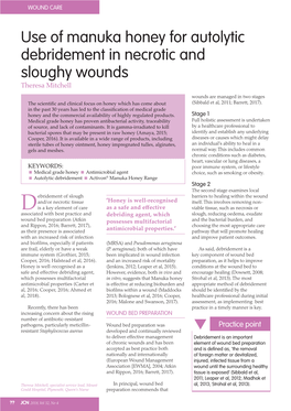 Use of Manuka Honey for Debridement in Necrotic and Sloughy Wounds.Pdf