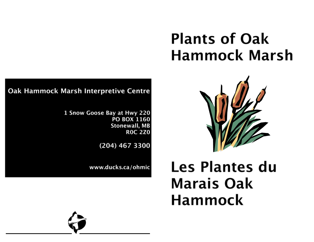 Plant-List.Pdf