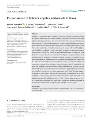 Occurrence of Bobcats, Coyotes, and Ocelots in Texas