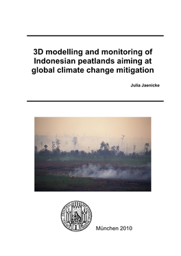 3D Modelling and Monitoring of Indonesian Peatlands Aiming at Global Climate Change Mitigation
