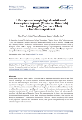 Life Stages and Morphological Variations of Limnocythere