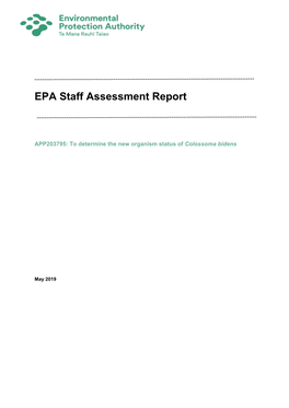 APP203795 Staff Assessment Report.Pdf