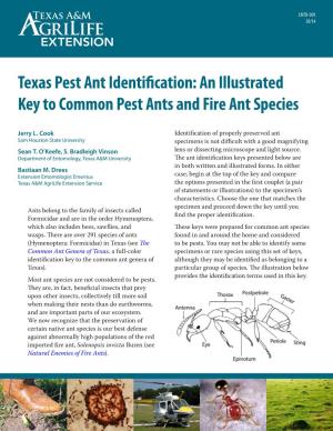 Texas Pest Ant Identification: an Illustrated Key to Common Pest Ants and Fire Ant Species