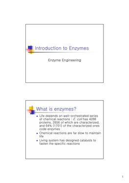 Introduction to Enzymes What Is Enzymes?