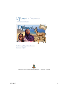 Djibouti in Perspective Completion Cert