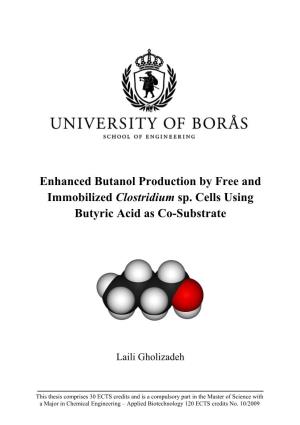 Enhanced Butanol Production by Free and Immobilized Clostridium Sp