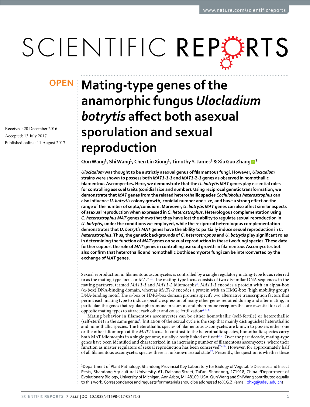 Mating-Type Genes of the Anamorphic Fungus Ulocladium Botrytis Affect