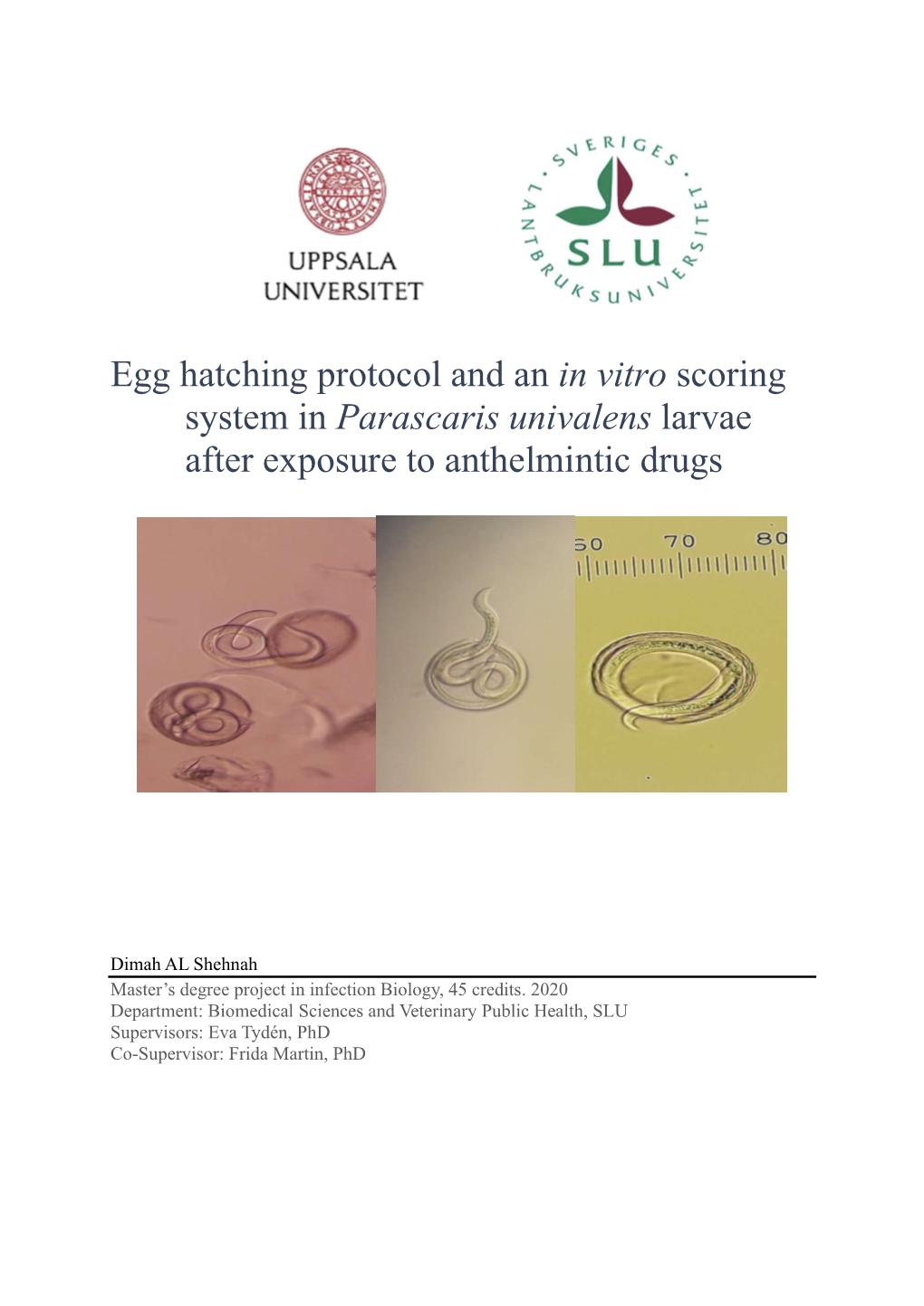 Egg Hatching Protocol and an in Vitro Scoring System in Parascaris Univalens Larvae After Exposure to Anthelmintic Drugs