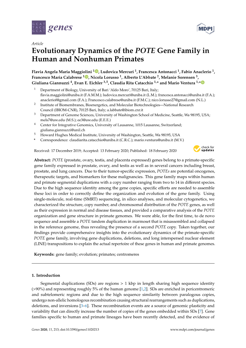 Evolutionary Dynamics of the POTE Gene Family in Human and Nonhuman Primates