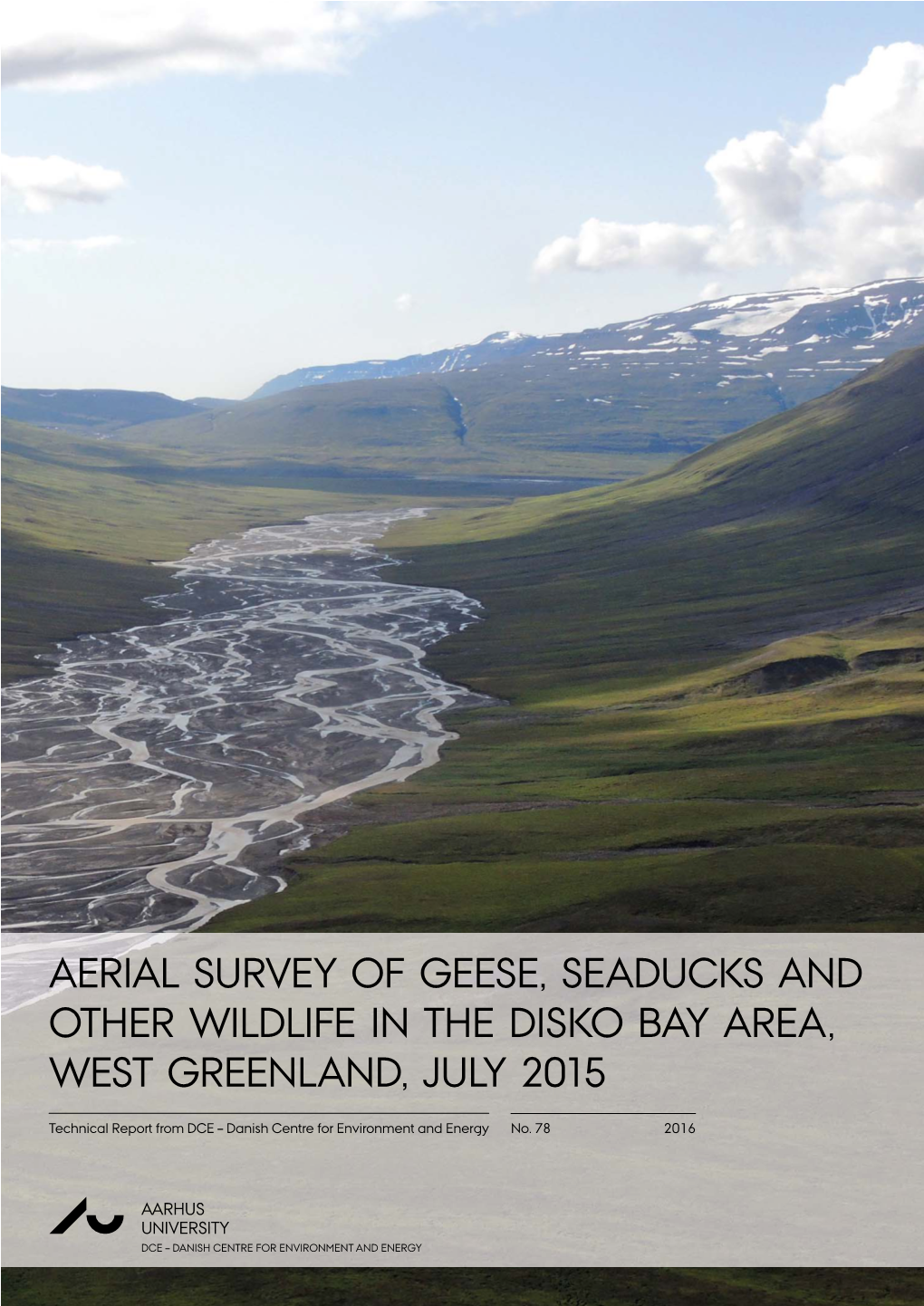 Aerial Survey of Geese, Seaducks and Other Wildlife in the Disko Bay Area, West Greenland, July 2015