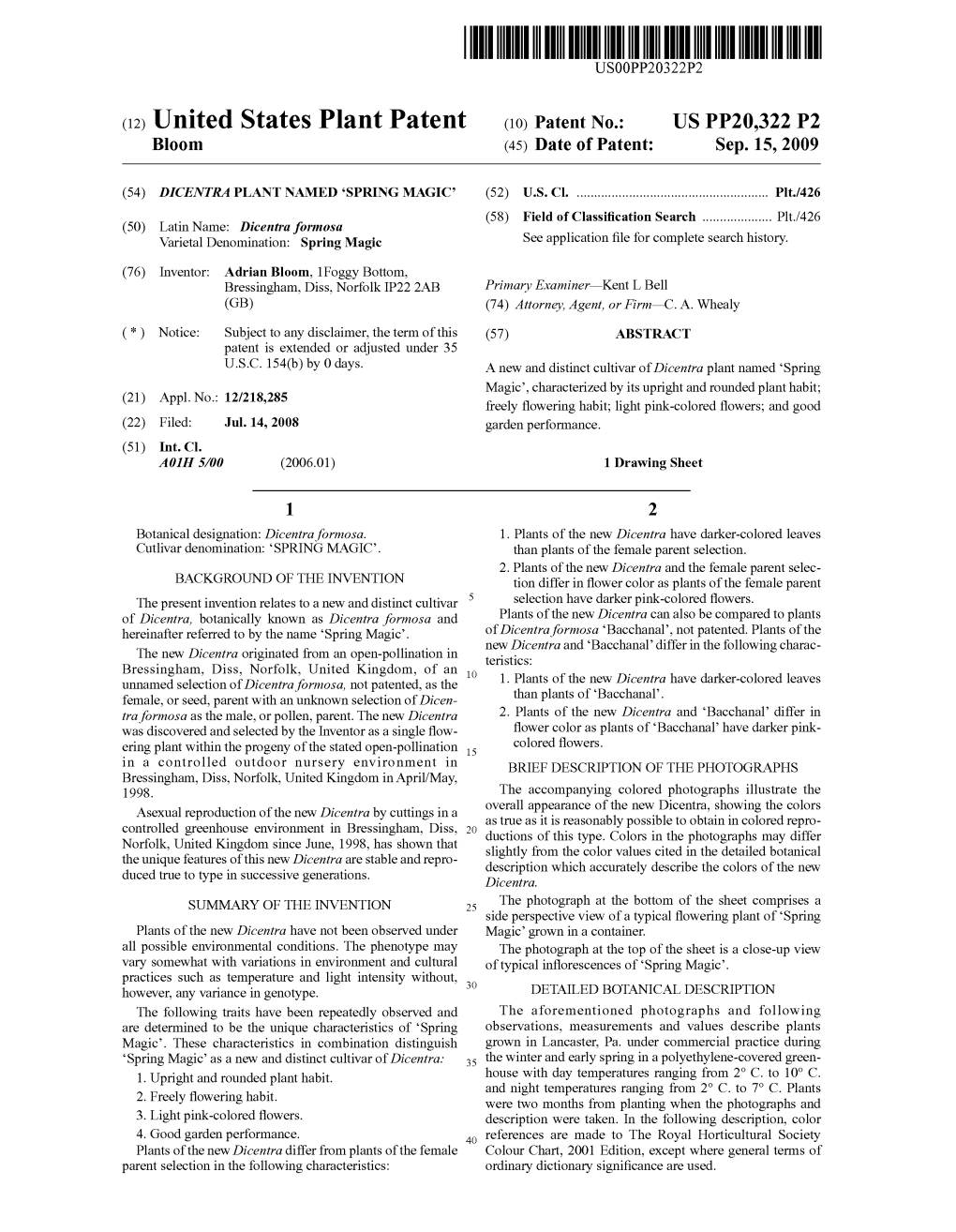 (12) United States Plant Patent (10) Patent No.: US PP20,322 P2 Bloom (45) Date of Patent: Sep