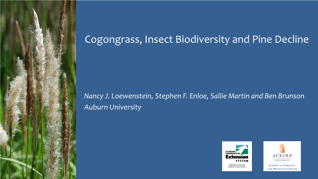Cogongrass, Insect Biodiversity and Pine Decline