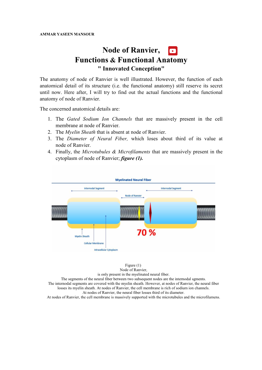 Node of Ranvier, Functions & Functional Anatomy