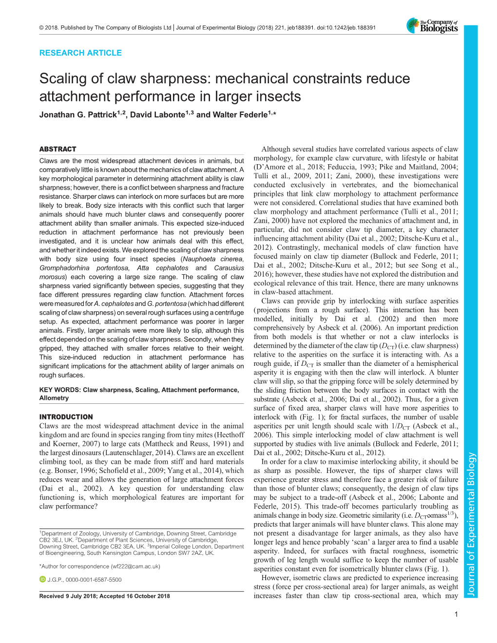 Mechanical Constraints Reduce Attachment Performance in Larger Insects Jonathan G