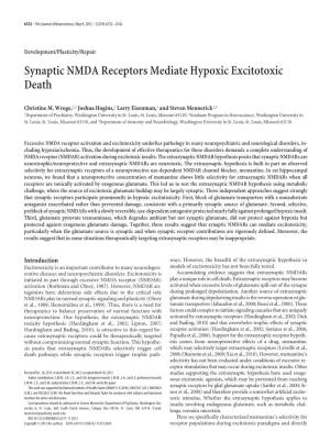 Synaptic NMDA Receptors Mediate Hypoxic Excitotoxic Death