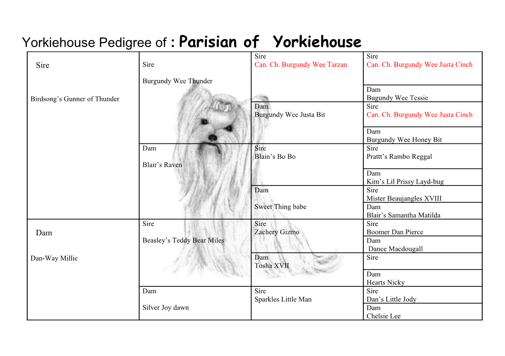 Yorkiehouse Pedigree of : Parisian of Yorkiehouse