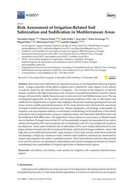 Risk Assessment of Irrigation-Related Soil Salinization and Sodification In