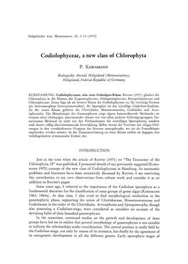 Codiolophyceae, a New Class of Chlorophyta