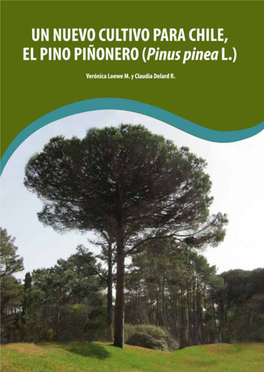 UN NUEVO CULTIVO PARA CHILE EL PINO PIÑONERO (Pinus Pineal.)