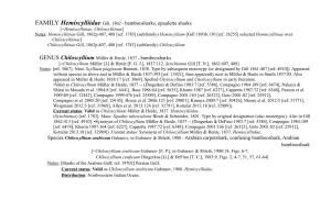 FAMILY Hemiscylliidae Gill, 1862 - Bamboosharks, Epaulette Sharks [=Hemiscylliinae, Chiloscylliinae] Notes: Hemiscylliinae Gill, 1862P:407, 408 [Ref