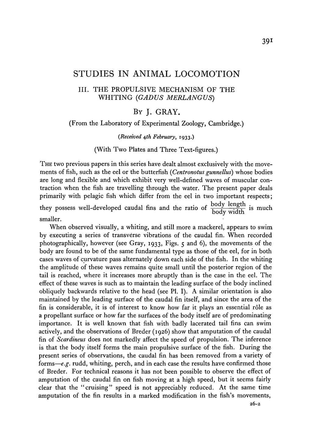 Studies in Animal Locomotion Iii