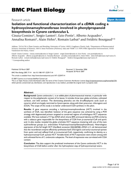 Isolation and Functional Characterization of a Cdna Coding A