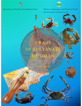 Crabs of Sultanate of Oman