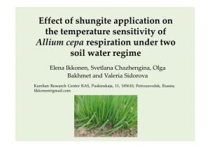 Effect of Shungite Application on the Temperature Sensitivity of Allium Cepa Respiration Under Two Soil Water Regime