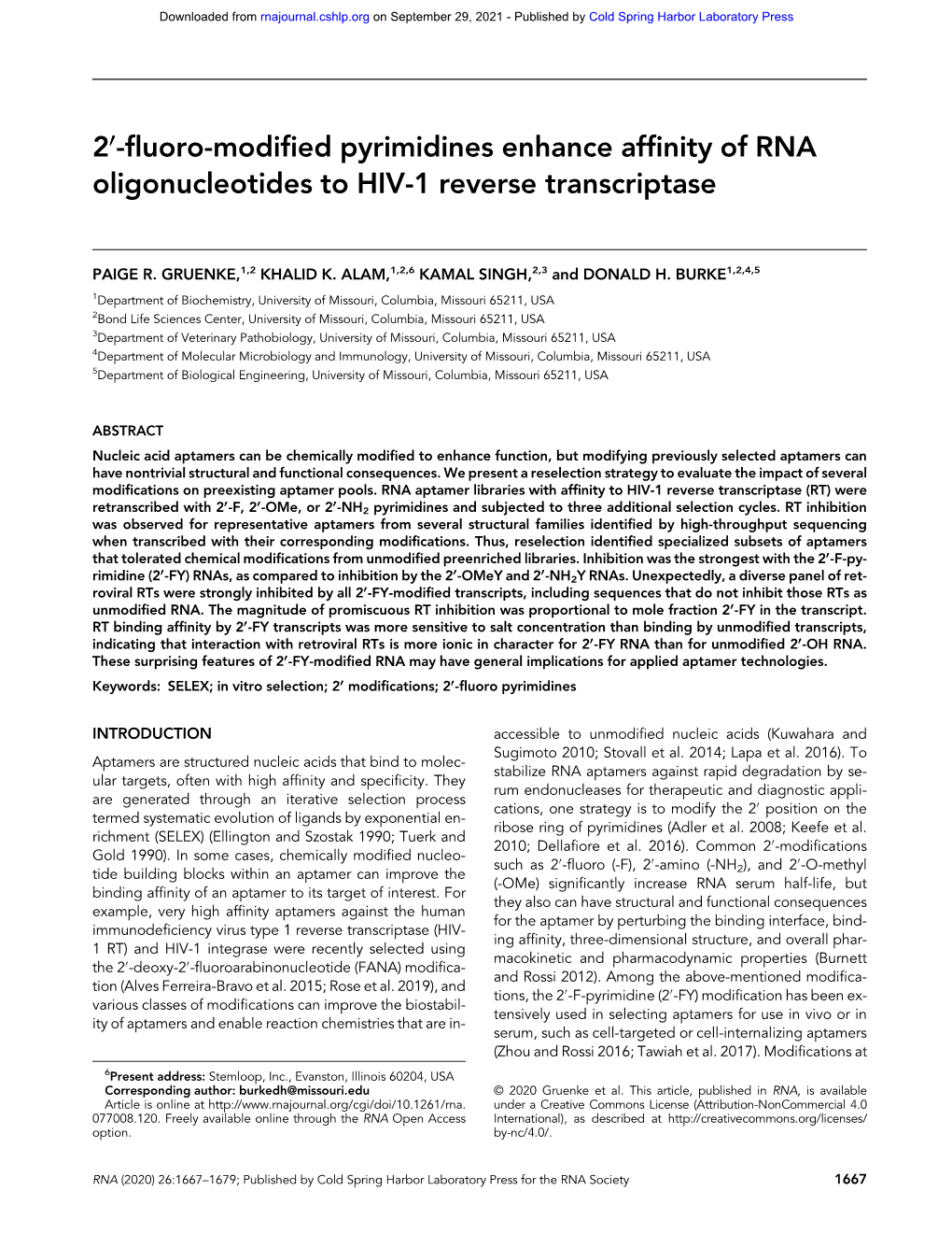 2′-Fluoro-Modified Pyrimidines Enhance Affinity of RNA Oligonucleotides to HIV-1 Reverse Transcriptase