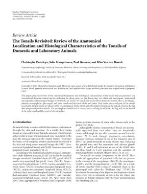 The Tonsils Revisited: Review of the Anatomical Localization and Histological Characteristics of the Tonsils of Domestic and Laboratory Animals