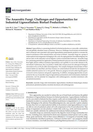 The Anaerobic Fungi: Challenges and Opportunities for Industrial Lignocellulosic Biofuel Production