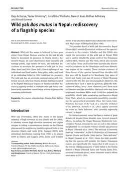 Wild Yak Bos Mutus in Nepal: Rediscovery of a Flagship Species