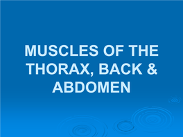 Muscles of the Thorax, Back & Abdomen