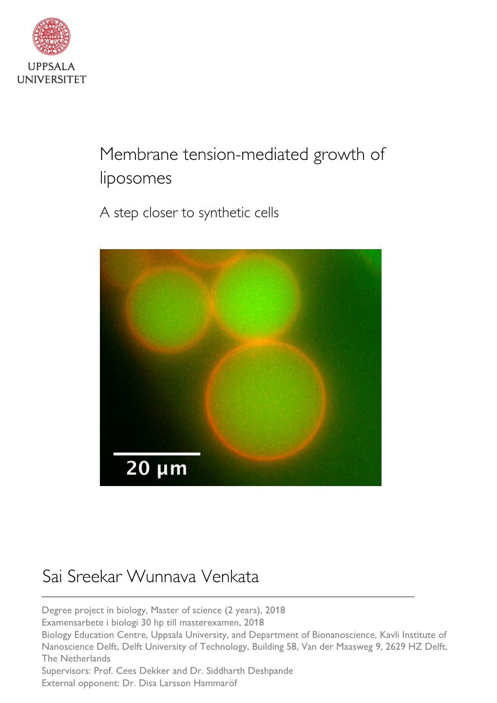 Membrane Tension-Mediated Growth of Liposomes