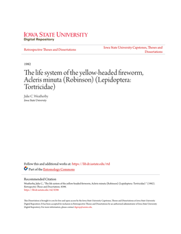 The Life System of the Yellow-Headed Fireworm, Acleris Minuta (Robinson) (Lepidoptera: Tortricidae) Julie C