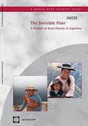 The Invisible Poor