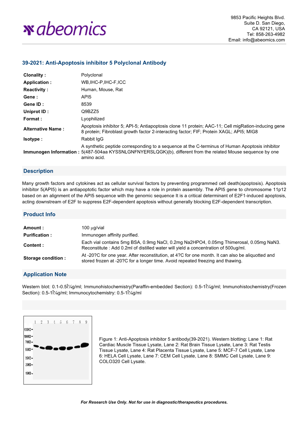 Anti-Apoptosis Inhibitor 5 Polyclonal Antibody Description