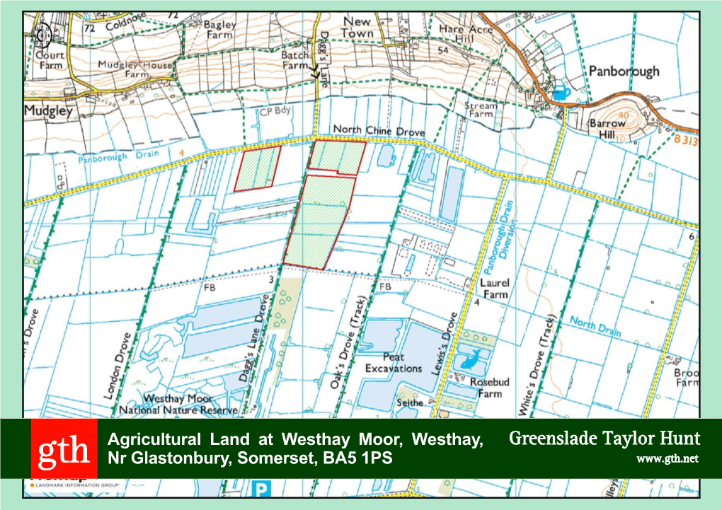 Agricultural Land at Westhay Moor, Westhay, Nr Glastonbury, Somerset, BA5